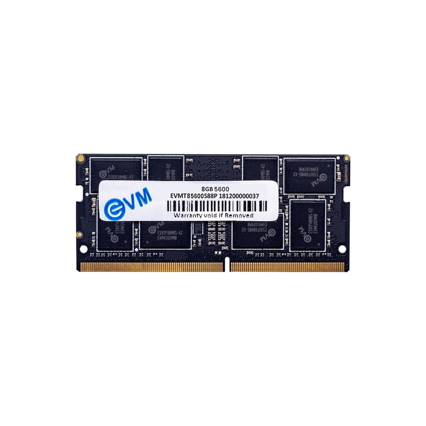 EVM 8GB DDR5 5600MHz Laptop RAM