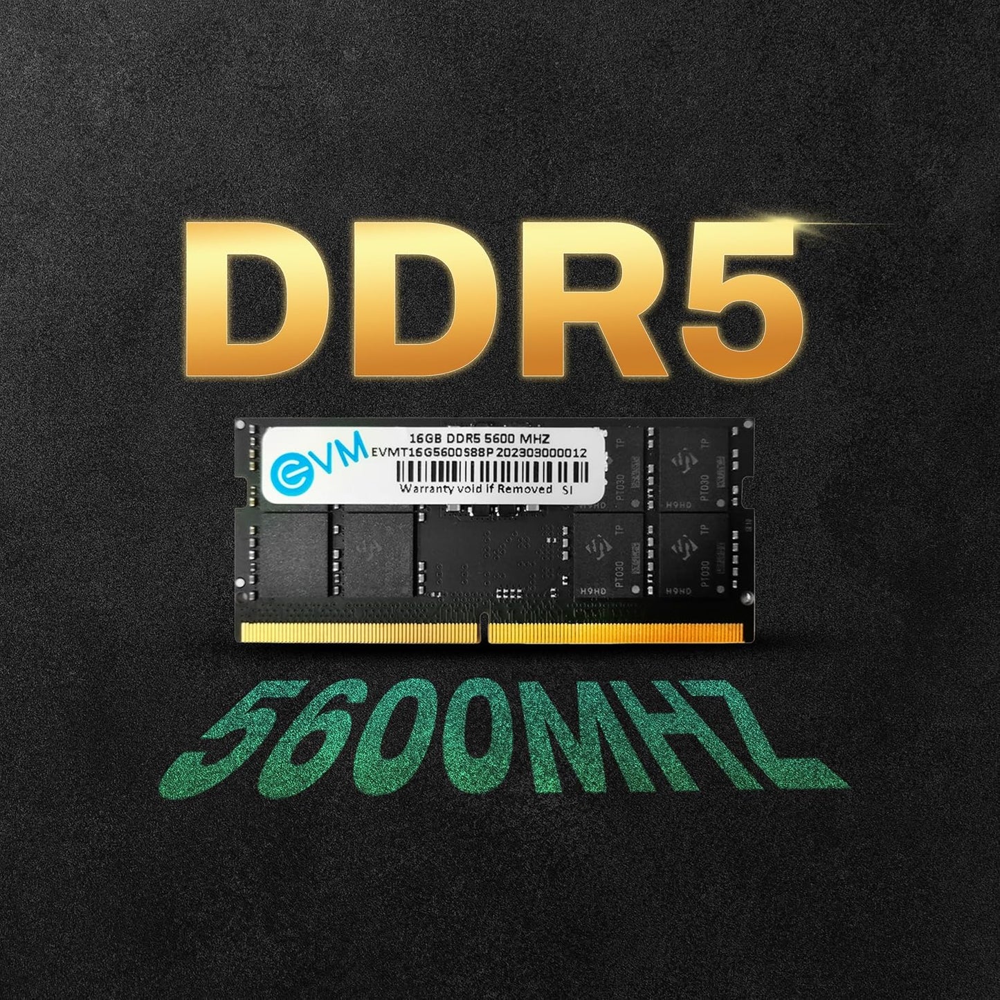 EVM 16GB DDR5 5600MHz Laptop RAM