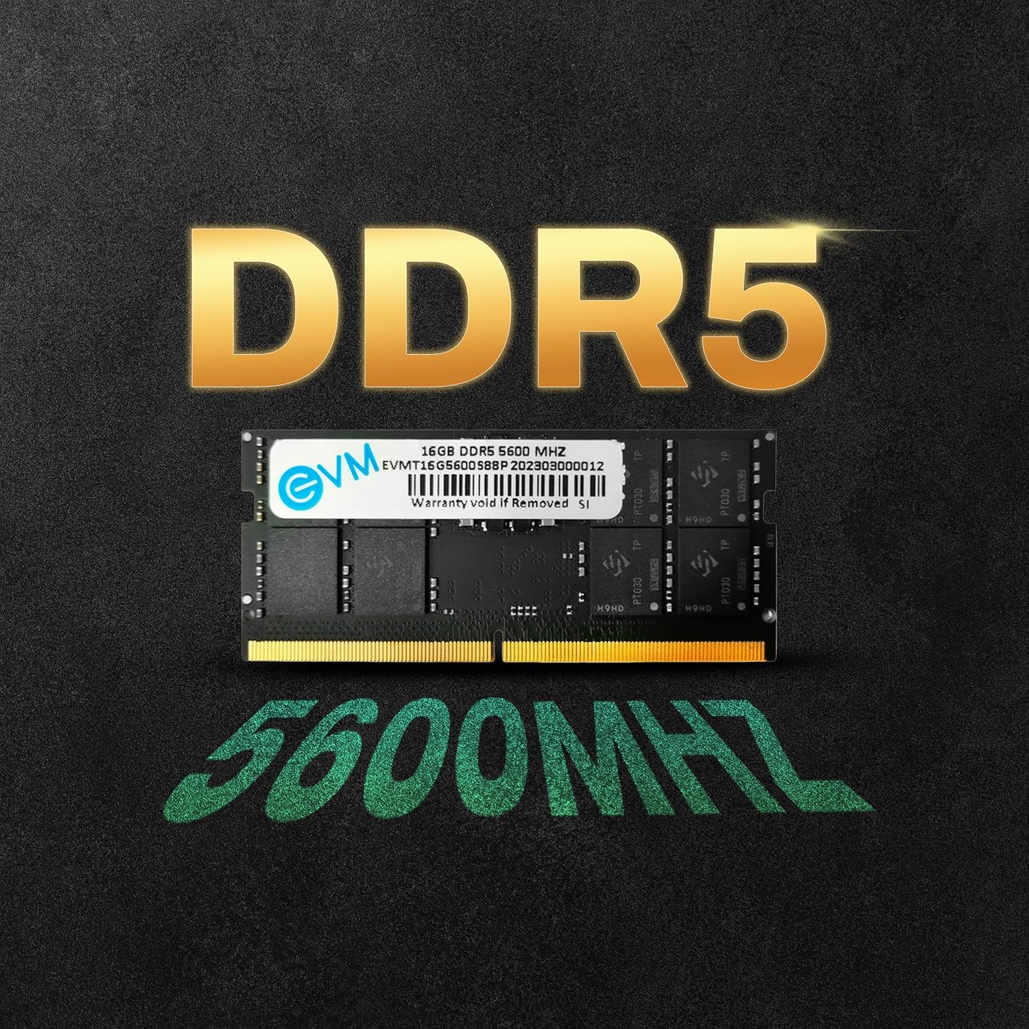 EVM 16GB DDR5 5600MHz Laptop RAM