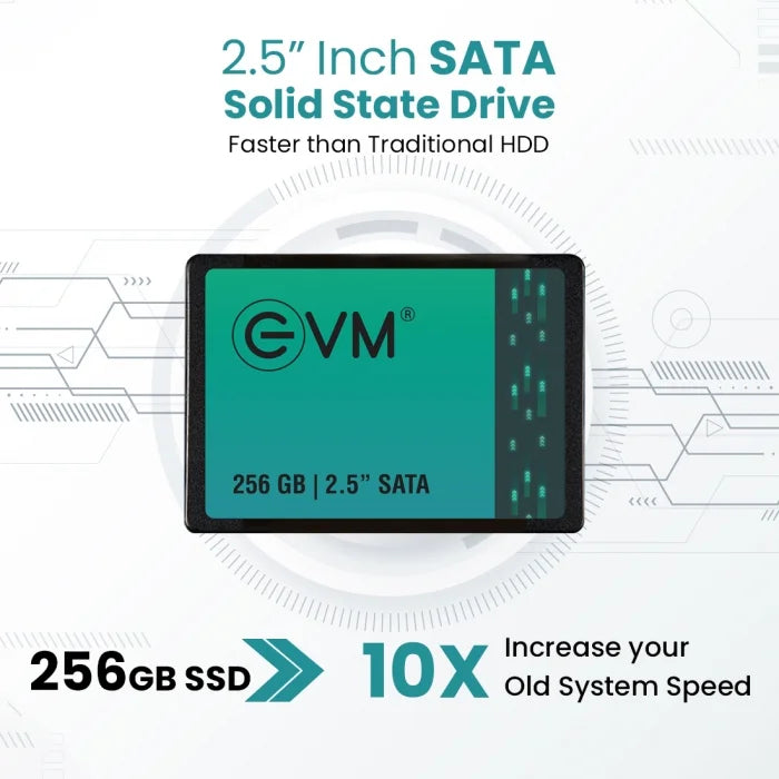 SSD 256GB EVM SATA3
