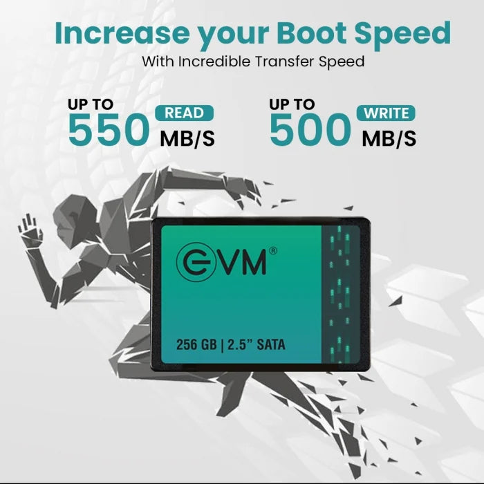 SSD 256GB EVM SATA3