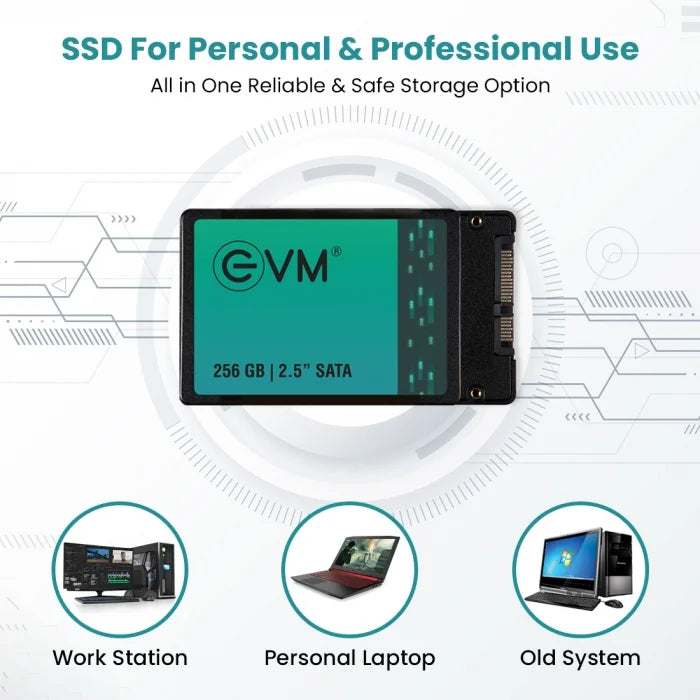 SSD 256GB EVM SATA3