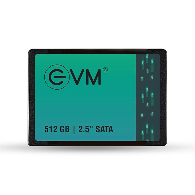 SSD 512GB EVM SATA 3
