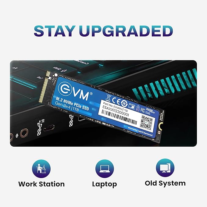SSD 1TB EVM NVME