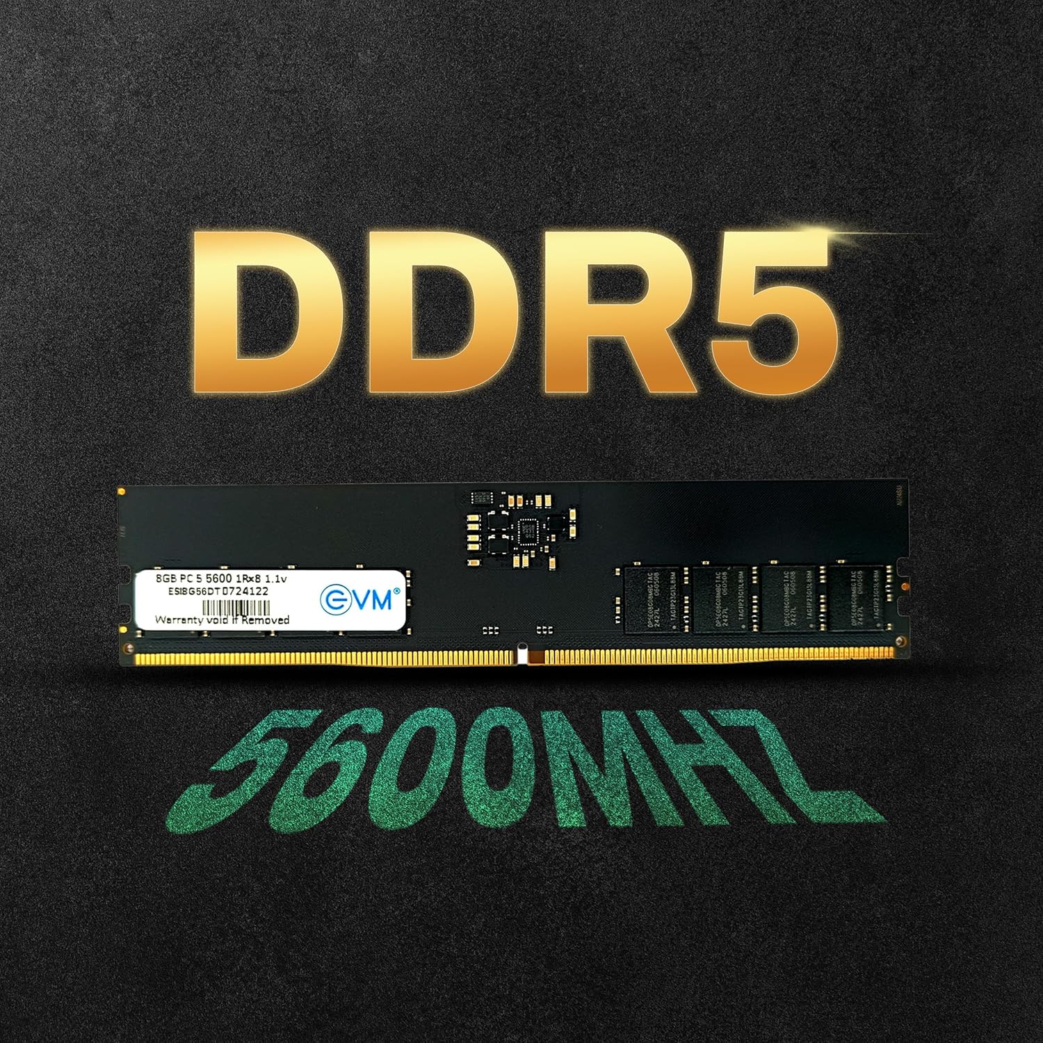 EVM 8GB DDR5 5600MHz Desktop RAM