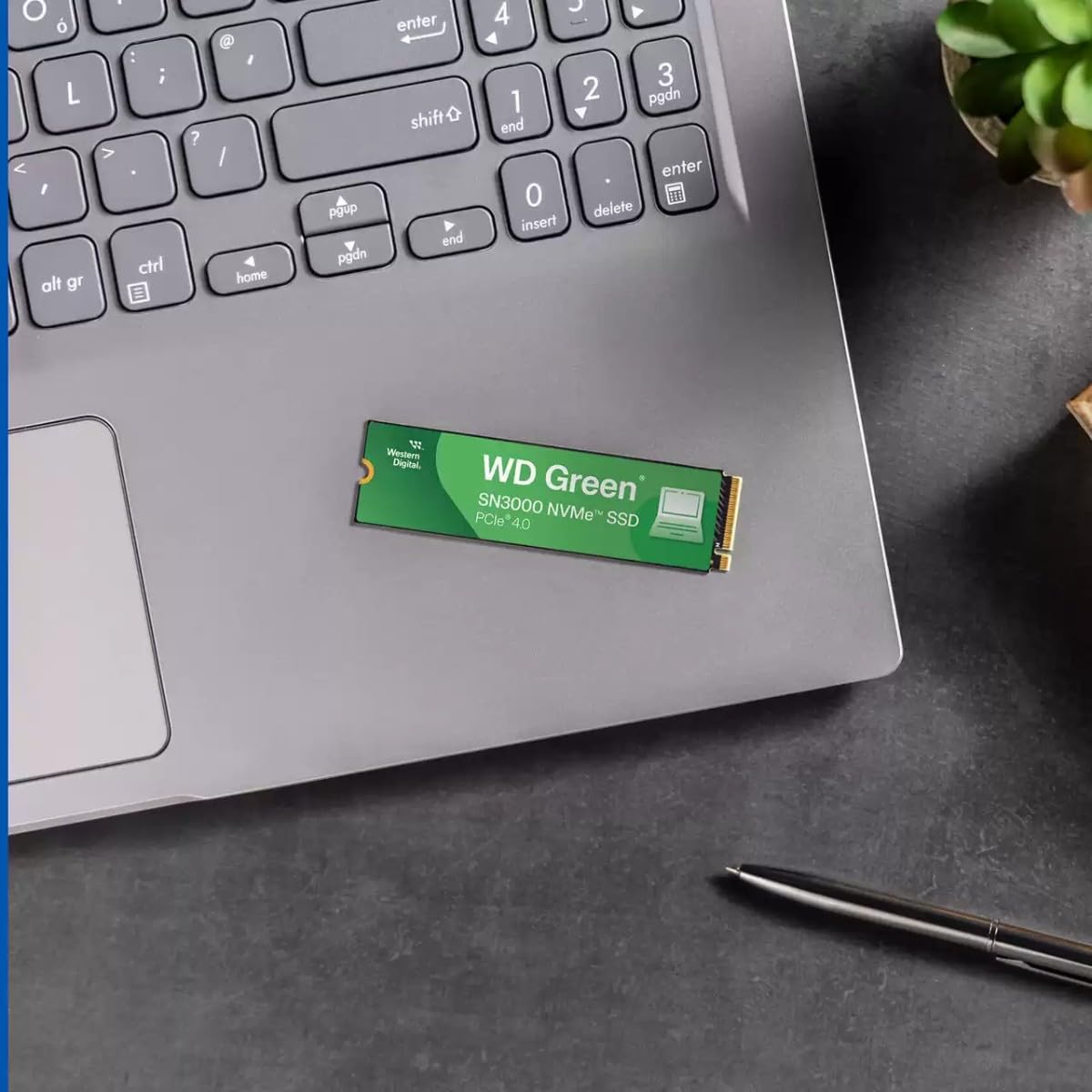 SSD 1TB WD SN3000 NVME GREEN