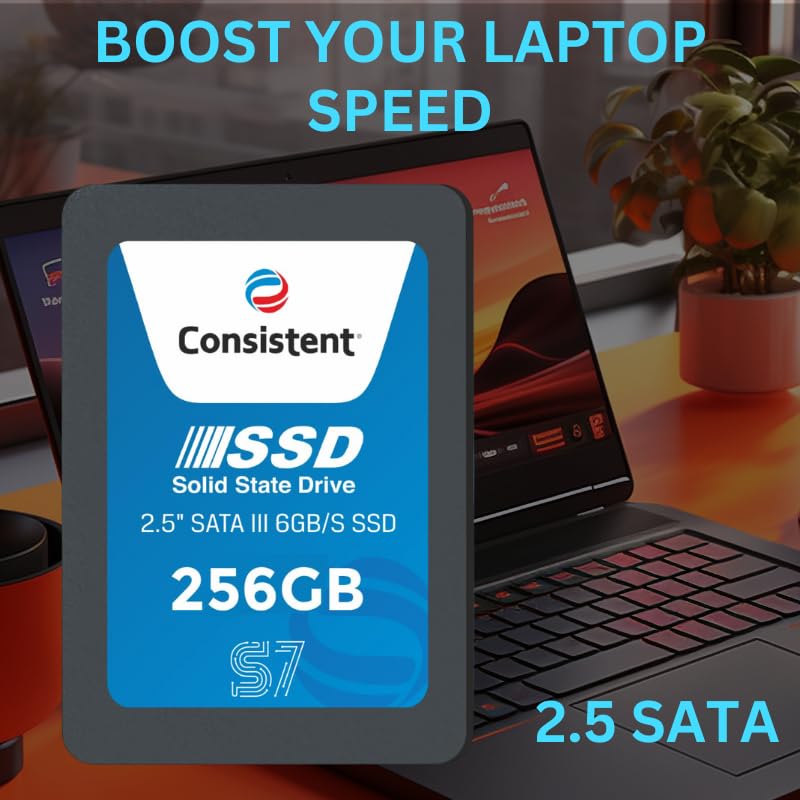 SSD 256GB CONSISTENT SATA